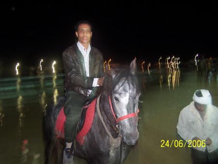 mon beau cheval Henri !!!